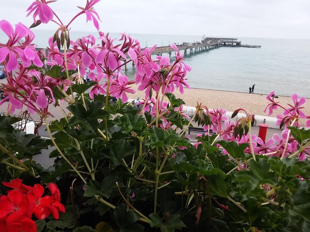 Waterfront Hotel 迪尔 外观 照片